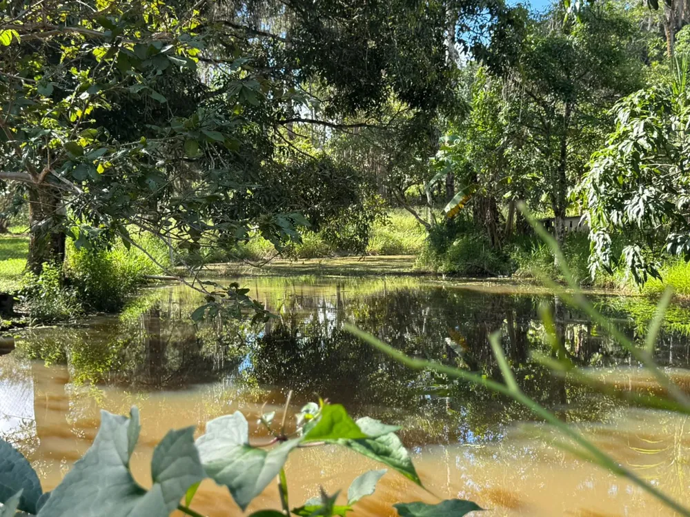 Chácara, 6 quartos, 2 hectares - Foto 2
