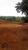 Fazenda, 726 hectares - Foto 4