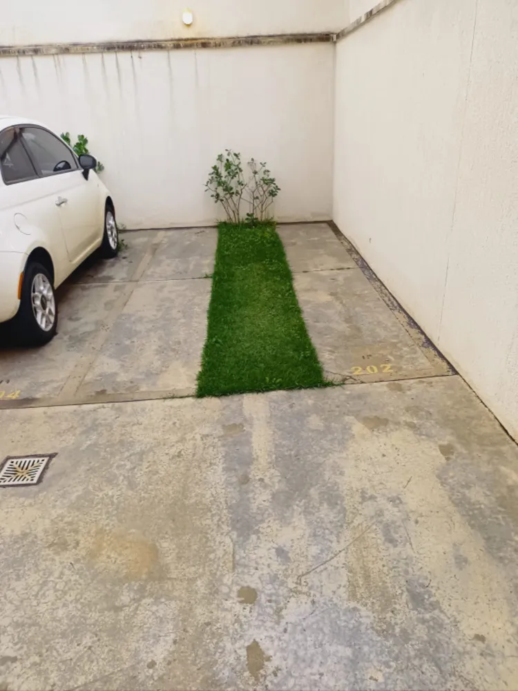 Apartamento, 1 quarto, 75 m² - Foto 19