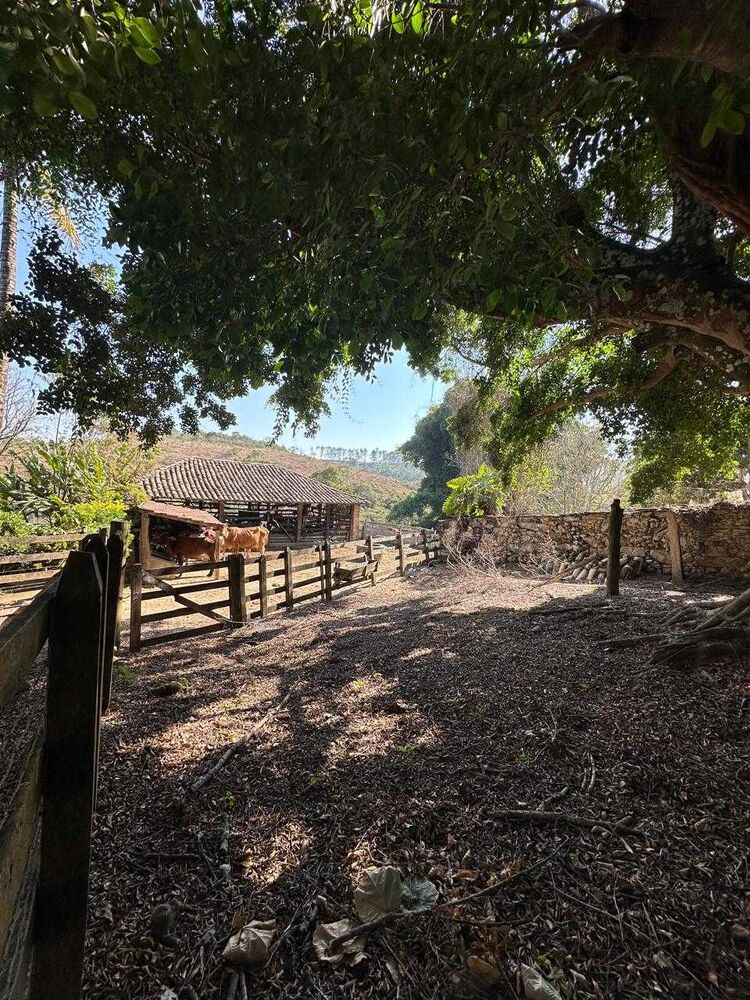 Fazenda à venda com 7 quartos, 450000m² - Foto 8