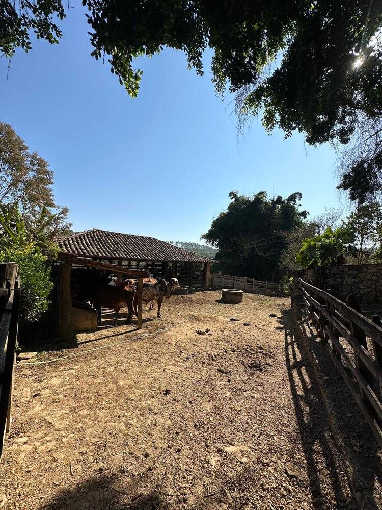Fazenda à venda com 7 quartos, 450000m² - Foto 11
