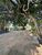 Fazenda, 45 hectares - Foto 7