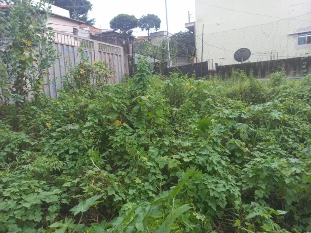 Terreno, 360 m² - Foto 4