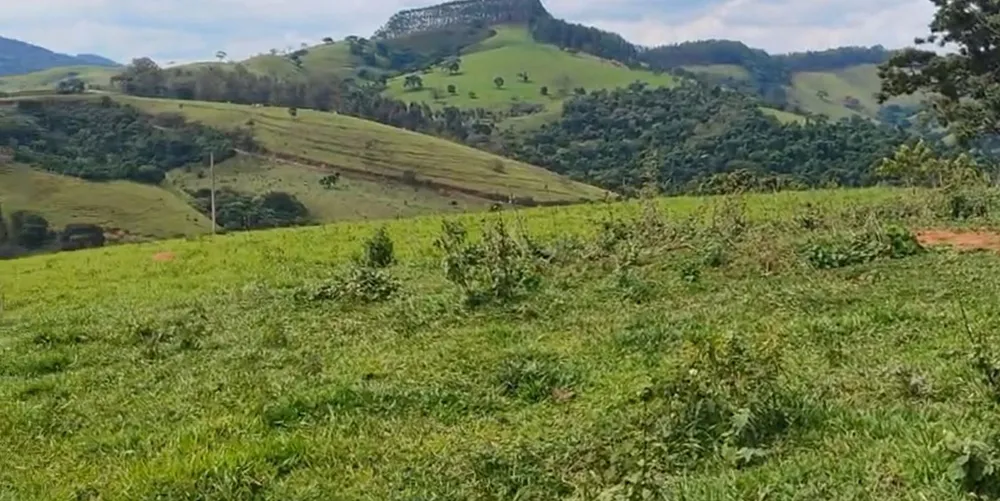 Sítio, 1 quarto, 56 hectares - Foto 3