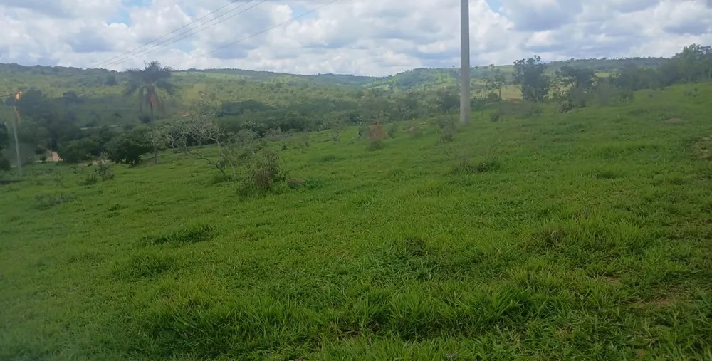 Sítio, 1 quarto, 56 hectares - Foto 6