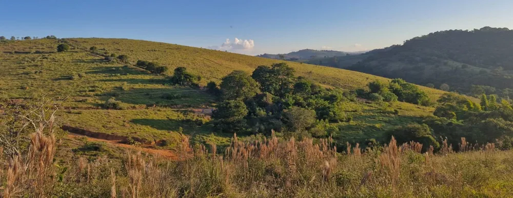 Sítio, 1 quarto, 56 hectares - Foto 11