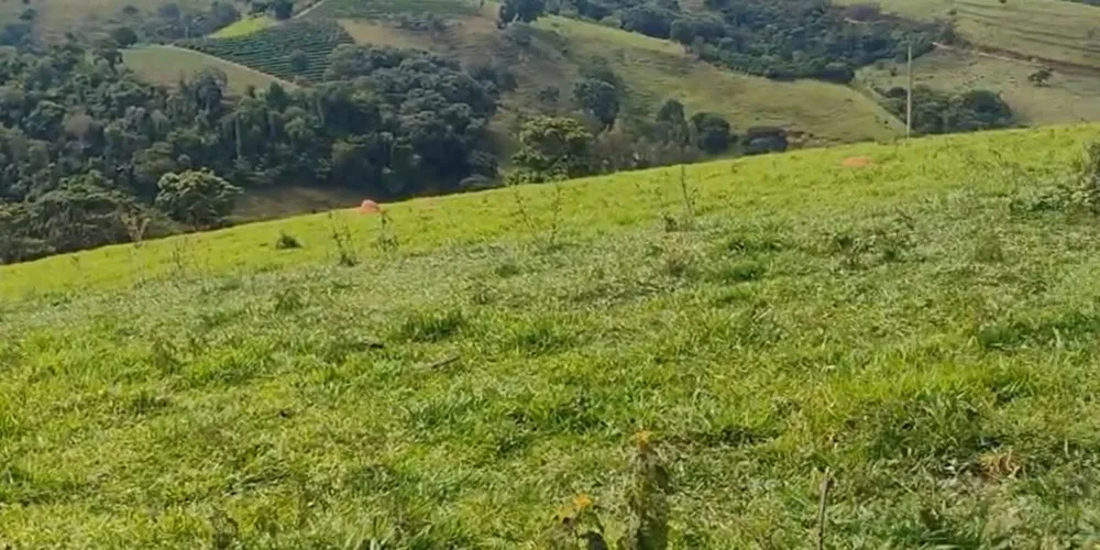 Sítio, 1 quarto, 56 hectares - Foto 2
