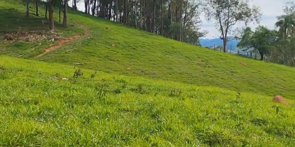 Sítio, 1 quarto, 56 hectares - Foto 8