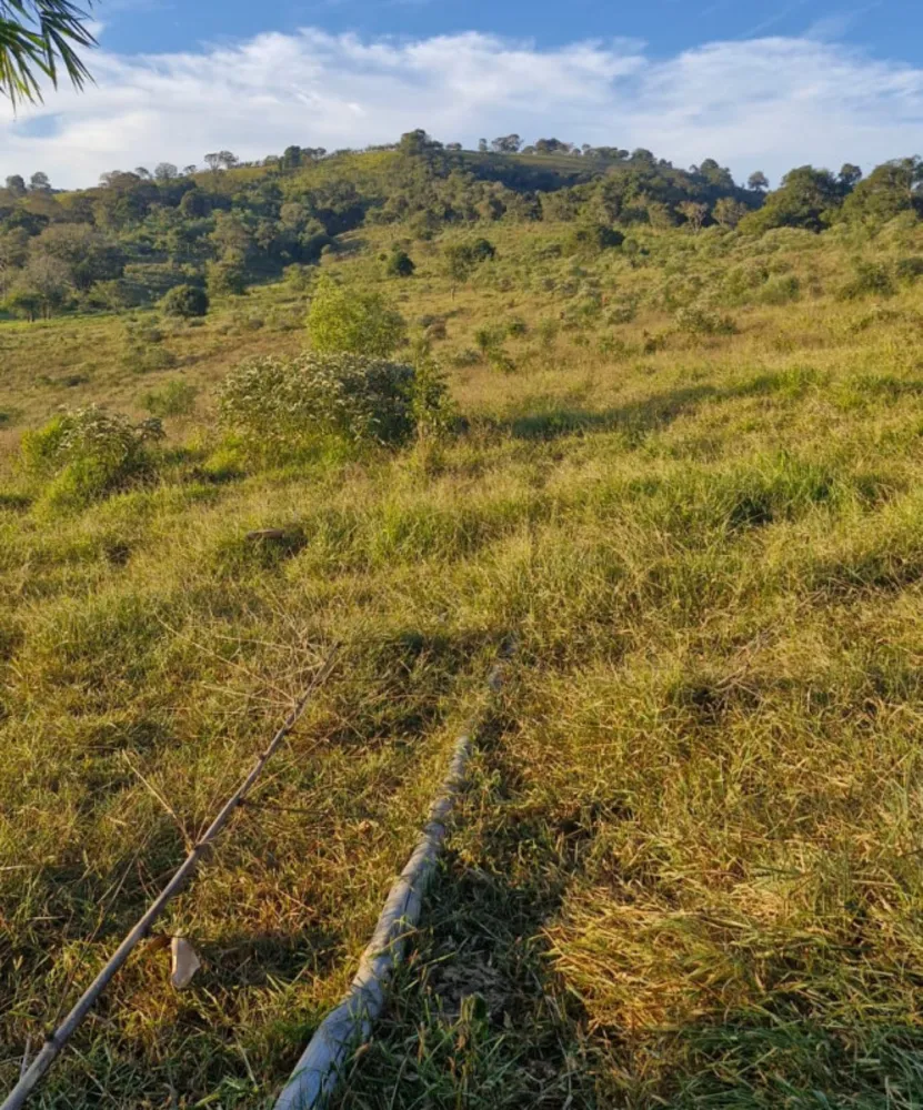 Sítio, 1 quarto, 56 hectares - Foto 14