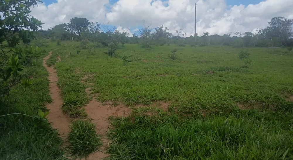 Sítio, 1 quarto, 56 hectares - Foto 4