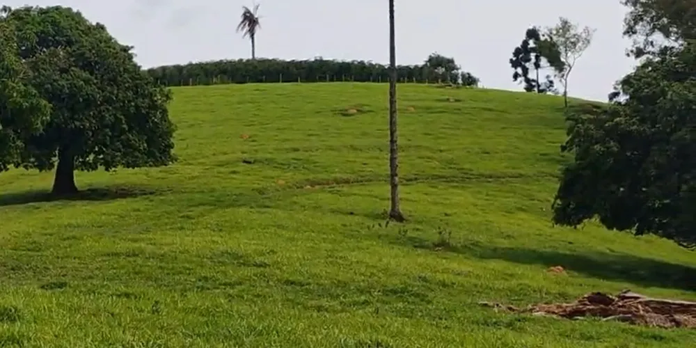 Sítio, 1 quarto, 56 hectares - Foto 6