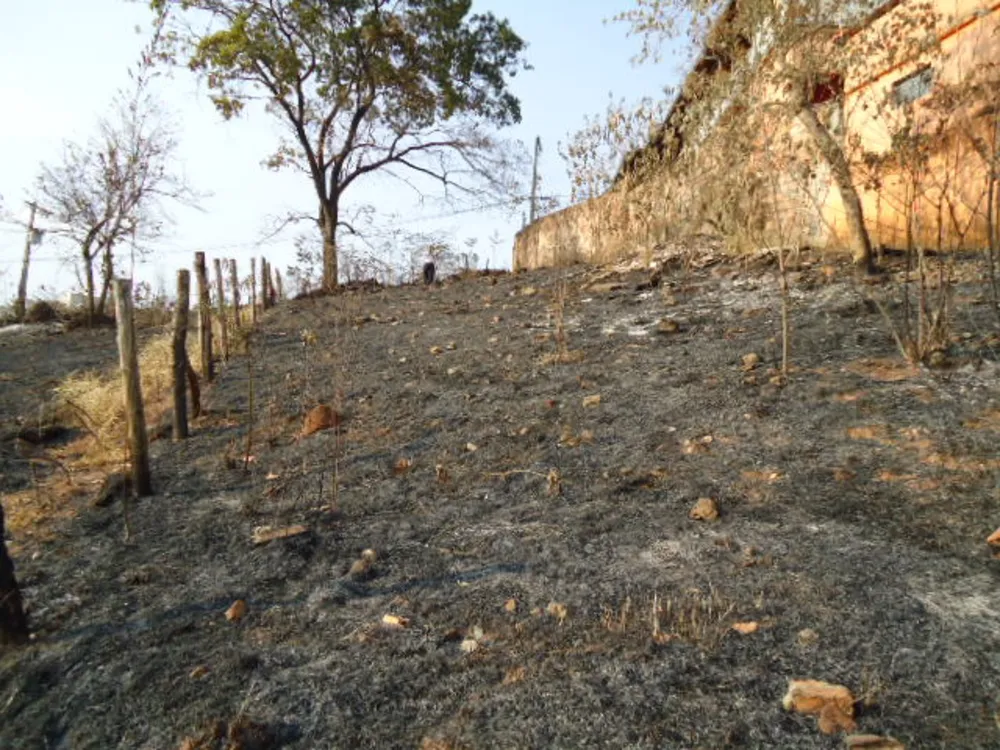 Terreno, 600 m² - Foto 6