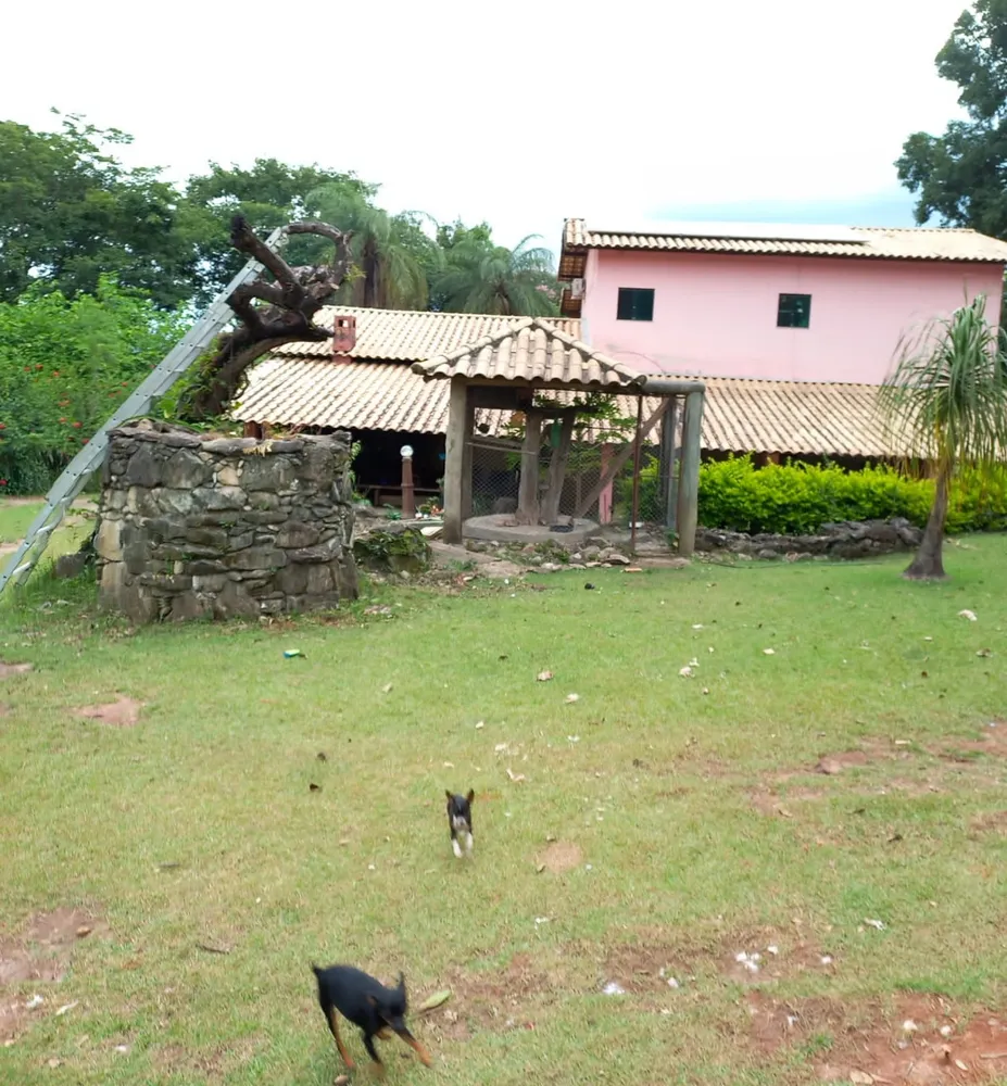 Chácara, 4 quartos, 3500 m² - Foto 5