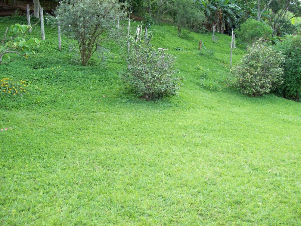 Sítio à venda com 4 quartos, 258961m² - Foto 2