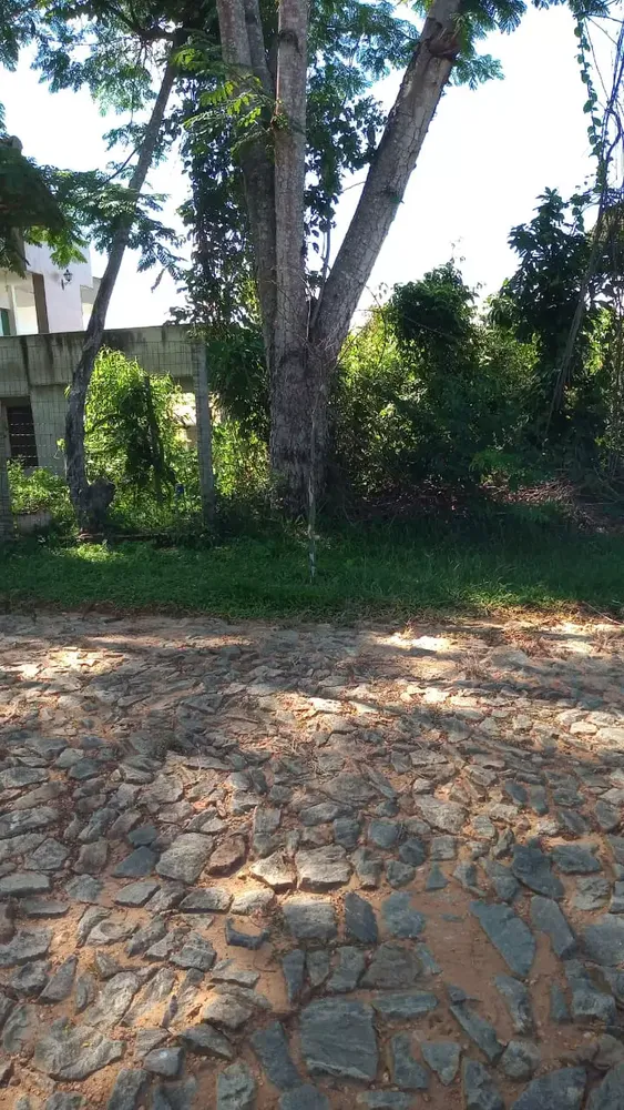 Terreno, 1291 m² - Foto 6