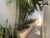 Casa, 3 quartos, 294 m² - Foto 6