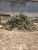 Terreno, 360 m² - Foto 4