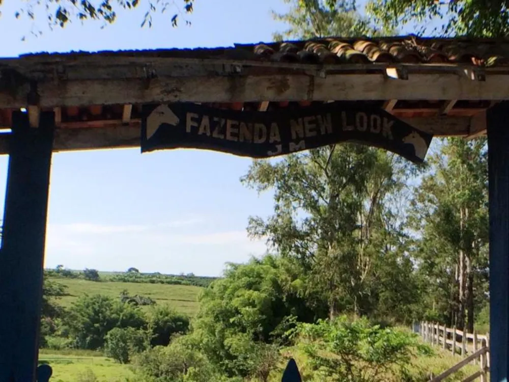 Fazenda, 4 hectares - Foto 15
