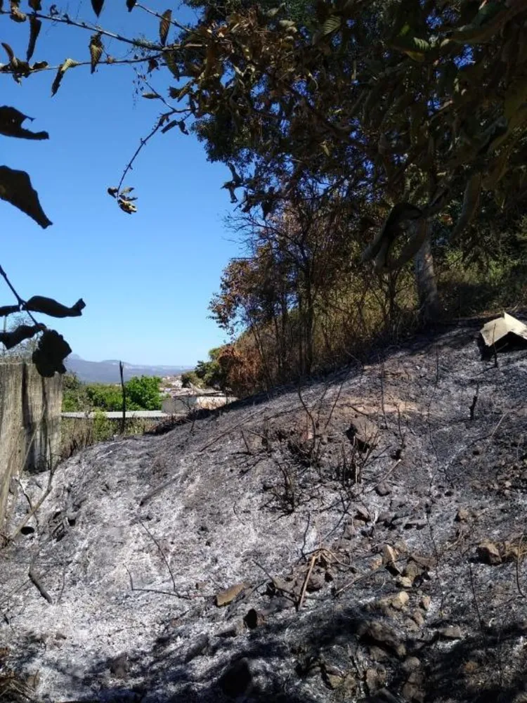 Terreno, 298 m² - Foto 8