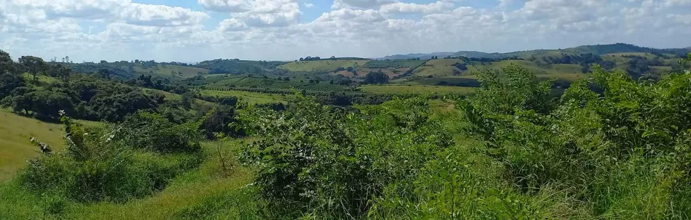 Fazenda, 401 hectares - Foto 10