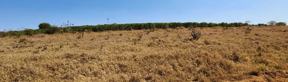 Fazenda, 401 hectares - Foto 9