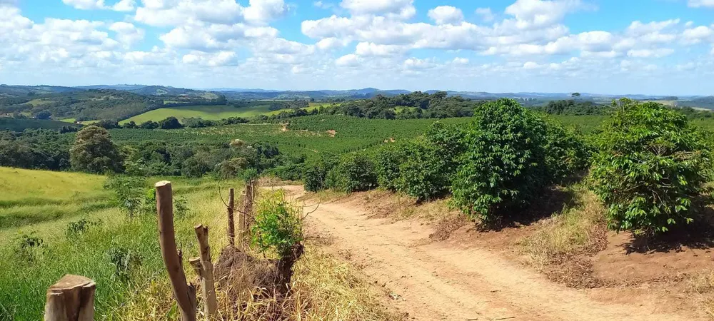 Fazenda, 401 hectares - Foto 11