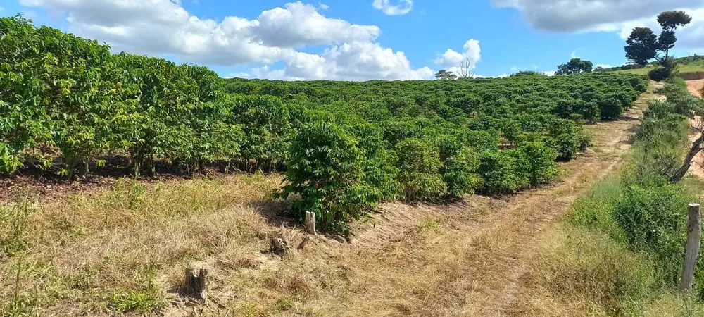 Fazenda, 401 hectares - Foto 6