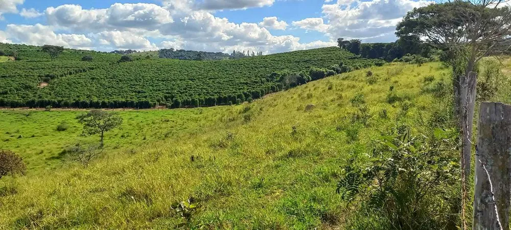 Fazenda, 401 hectares - Foto 2