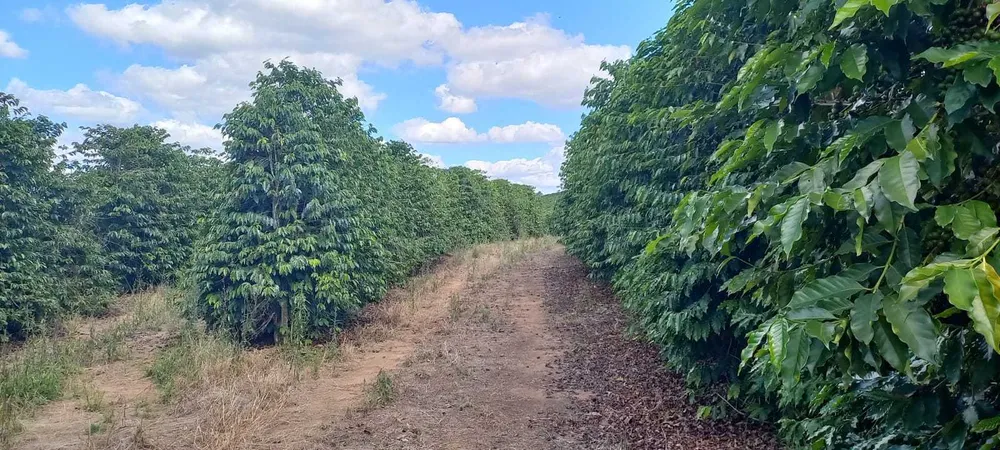 Fazenda, 401 hectares - Foto 11