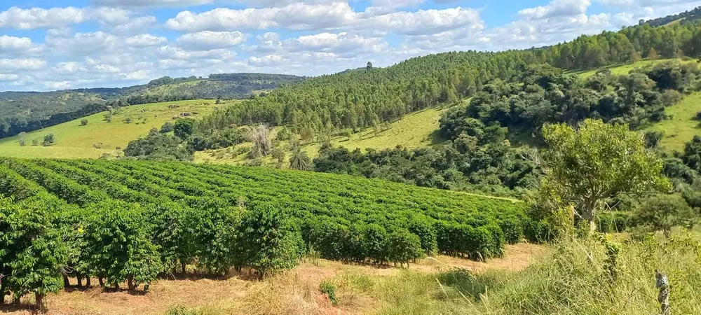 Fazenda, 401 hectares - Foto 1