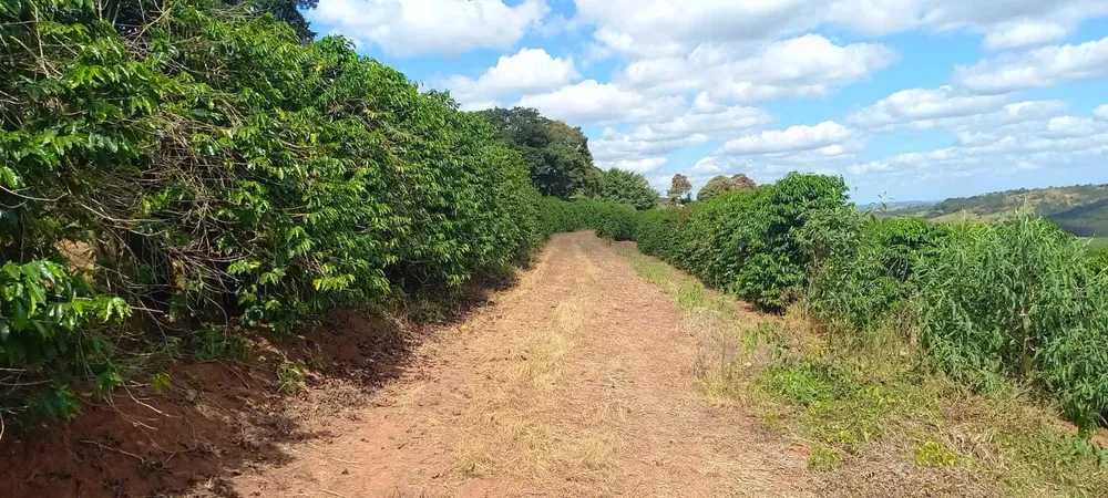 Fazenda, 401 hectares - Foto 17