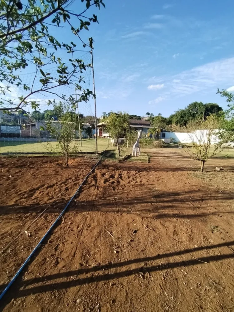 Chácara, 3 quartos - Foto 3