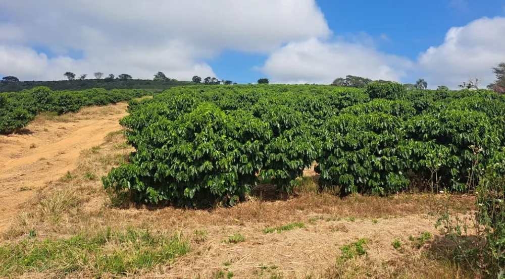 Fazenda, 19 hectares - Foto 1