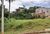 Casa de Condomínio - Foto 3