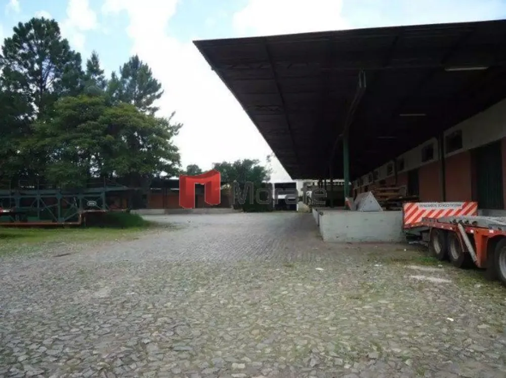 Terreno, 80000 m² - Foto 5