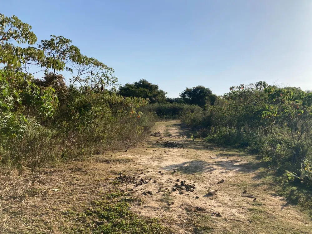 Terreno, 5 hectares - Foto 12