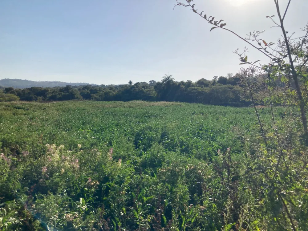 Terreno, 5 hectares - Foto 1