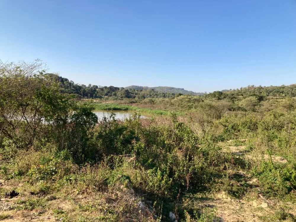 Terreno, 5 hectares - Foto 11
