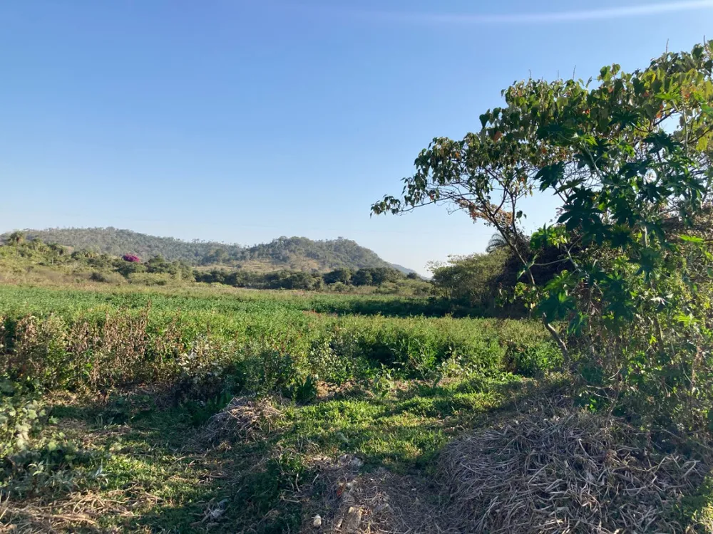 Terreno, 5 hectares - Foto 8