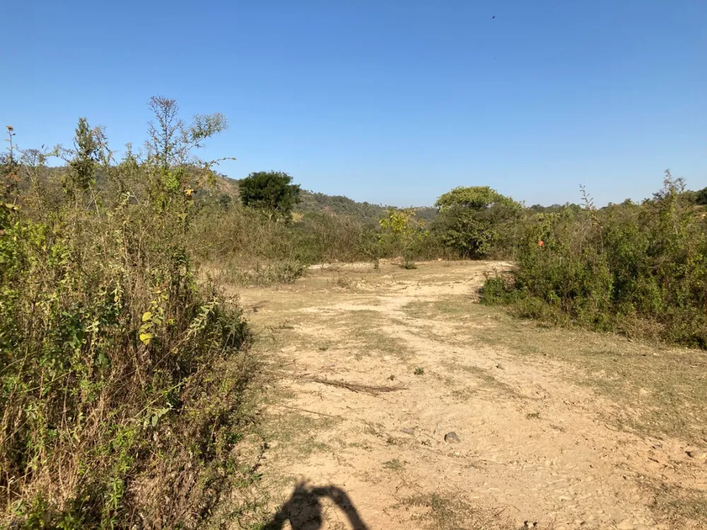 Terreno, 5 hectares - Foto 10