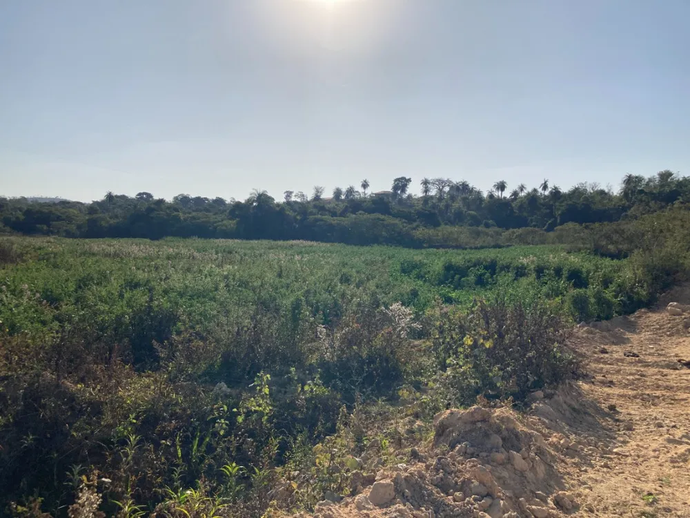 Terreno, 5 hectares - Foto 2