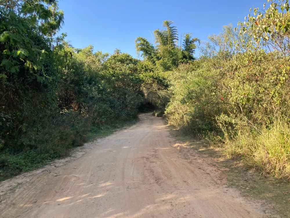 Terreno, 5 hectares - Foto 7