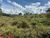 Terreno, 4000 m² - Foto 3