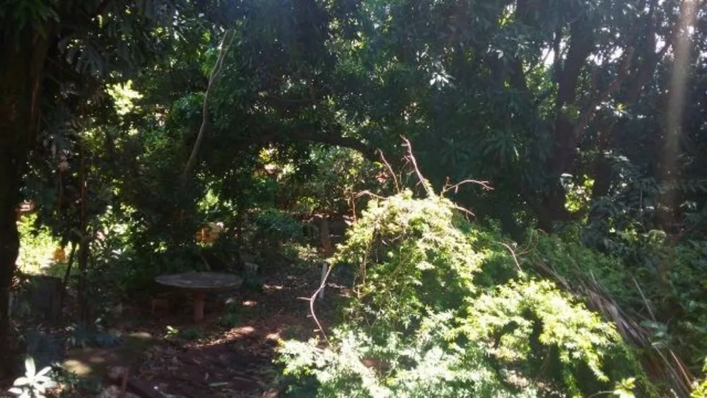 Terreno, 1350 m² - Foto 4