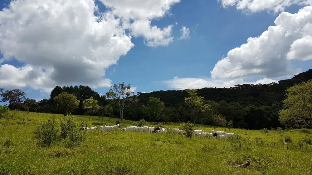 Fazenda, 3 quartos - Foto 3