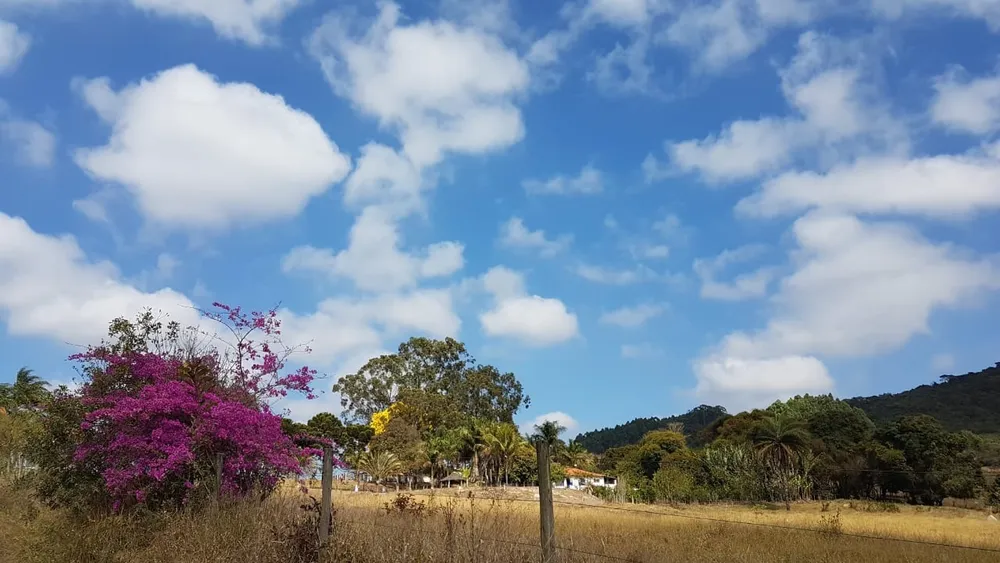 Fazenda, 3 quartos - Foto 5