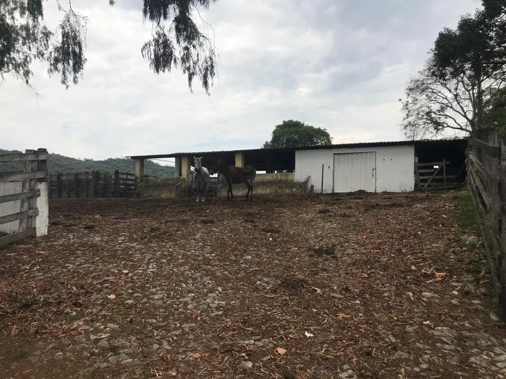 Fazenda, 3 quartos - Foto 5