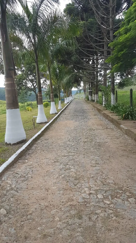 Fazenda, 3 quartos - Foto 8