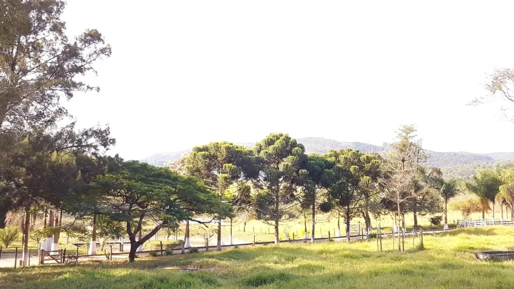 Fazenda, 3 quartos - Foto 1