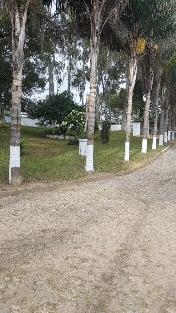 Fazenda, 3 quartos - Foto 7